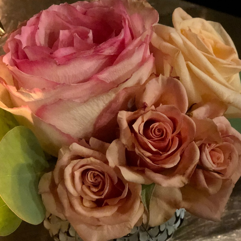 Meet your Posher, Sheila